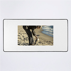 The Penguin Lessons explores themes of self-discovery The Penguin Lessons Mouse Pads