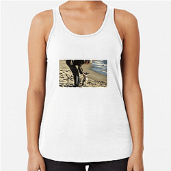 The Penguin Lessons explores themes of self-discovery The Penguin Lessons Tank Tops
