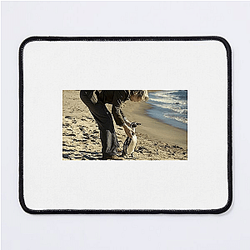 The Penguin Lessons explores themes of self-discovery The Penguin Lessons Mouse Pads