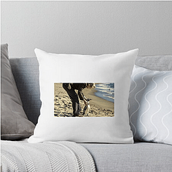 The Penguin Lessons explores themes of self-discovery The Penguin Lessons Pillows Cover