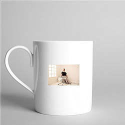 The Penguin Lessons is about a man who adopts a penguin The Penguin Lessons Mugs