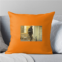 The Penguin Lessons is set in 1976 Argentina The Penguin Lessons Pillows Cover