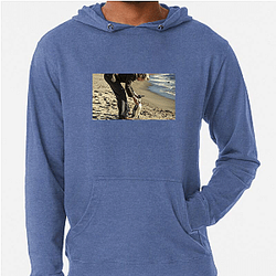 The Penguin Lessons explores themes of self-discovery The Penguin Lessons Hoodies