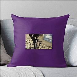The Penguin Lessons explores themes of self-discovery The Penguin Lessons Pillows Cover