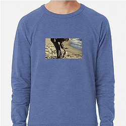 The Penguin Lessons explores themes of self-discovery The Penguin Lessons Sweatshirts