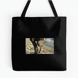 The Penguin Lessons explores themes of self-discovery The Penguin Lessons Bags