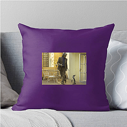 The Penguin Lessons is set in 1976 Argentina The Penguin Lessons Pillows Cover