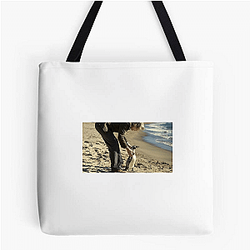 The Penguin Lessons explores themes of self-discovery The Penguin Lessons Bags