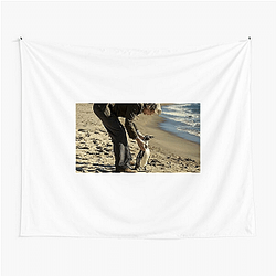 The Penguin Lessons explores themes of self-discovery The Penguin Lessons Tapestries