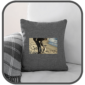 The Penguin Lessons Pillows Cover
