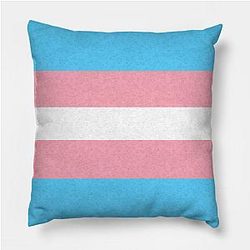 Trans Flag Pillows - Transgender Pride Flag Pillow TP1208 | The Pride Merch WP0503
