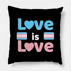 Trans Flag Pillows - Love is Love Trans Pride Flag Pillow TP1208 | The Pride Merch WP0503