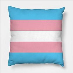 Trans Flag Pillows - Transgender Flag Pillow TP1208 | The Pride Merch WP0503