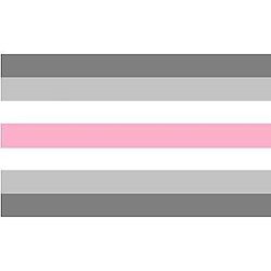 Demifem Pride Flag The Pride Store PN0503