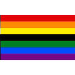 Black Gay Pride Flag The Pride Store PN0503