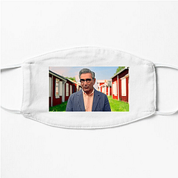 Scenic Wonders The Reluctant Traveler Face Masks
