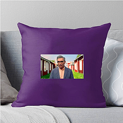Scenic Wonders The Reluctant Traveler Pillows Cover