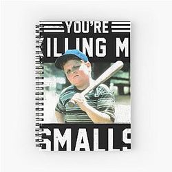The Sandlot Notebook