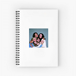 The Sisterhood of the Traveling Pants was released in 2005 The Sisterhood Of The Traveling Pants Notebook