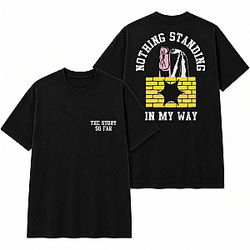 Nothing Standing Brick Wall Graphic LA 2605 The Story So Far T-Shirts