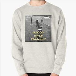 NO WHY PORQUE sticker the Strokes In Transit  Pullover Sweatshirt