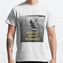 NO WHY PORQUE sticker the Strokes In Transit  Classic T-Shirt