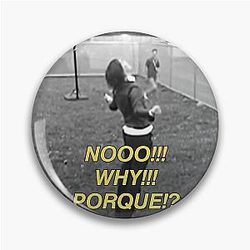 NO WHY PORQUE sticker the Strokes In Transit  Pin