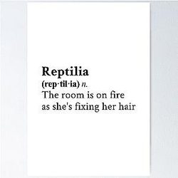 Reptilia by The Strokes Poster
