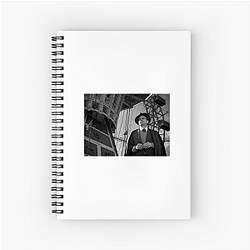 The Third Man features an iconic zither soundtrack The Third Man Notebook