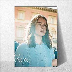 Public Scrutiny The Twisted Tale Of Amanda Knox Posters