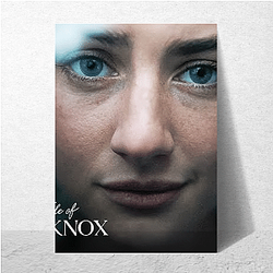 Wrongful Conviction The Twisted Tale Of Amanda Knox Posters