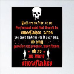 Tom Macdonald Snowflakes lyrics art Poster