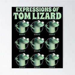 Expressions of Tom Lizard Poster