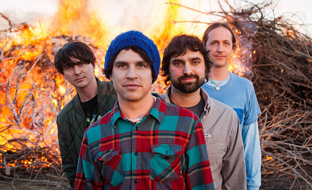 Unboxing Animal Collective Merchandise: What Youtubers Love!
