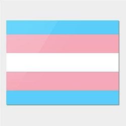 Trans Flag Posters - Transgender Flag Poster TP0812