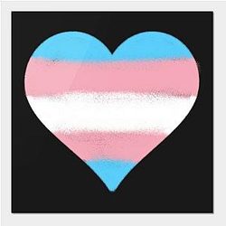 Trans Flag Posters - Transgender Flag Heart Poster TP0812