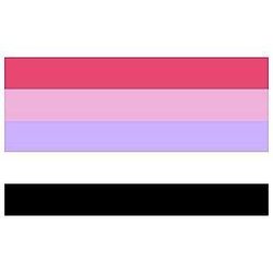 Reciprosexual flag Official Store PN1112
