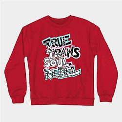 Trans Flag Sweatshirts - Warning May Start Talking About Transgender Rights Sweatshirt TP0812