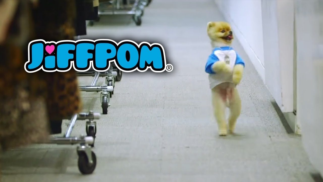 Jiffpom Shop Insights: TikToker Turns Cute Pups into Cash