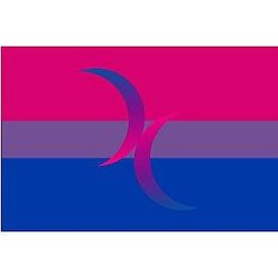 Bisexual Moons Flag Official Store PN1112