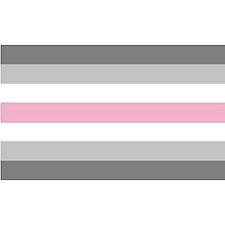 Demifem Pride Flag Official Store PN1112