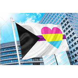 Demisexual Panromantic Pride Flag - Heart PN0112