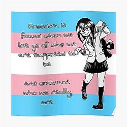 Transgender Posters - My Hero Academia Tsuyu Asui Transgender Pride Flag Poster RB0403