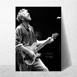 Progressive Rock Innovator Trey Anastasio Posters
