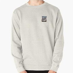 A gender Trisha Paytas  Pullover Sweatshirt