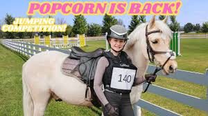 Harlow And Popcorn Official Shop: TV Show Picks Fans Love