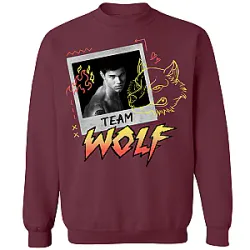 Team Wolf DTNK1504 Twilight Sweatshirts