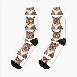 Tyga the Cat Socks