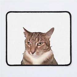 Tyga Cat Mouse Pad