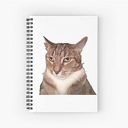 Tyga the Cat Notebook